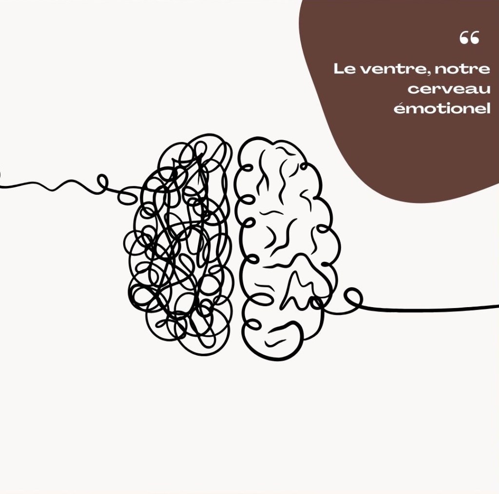 centreborielvin ventre